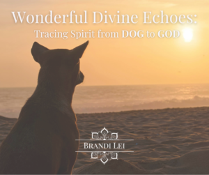 Wonderful Divine Echoes: Tracing Spirit from DOG to GOD blog cover